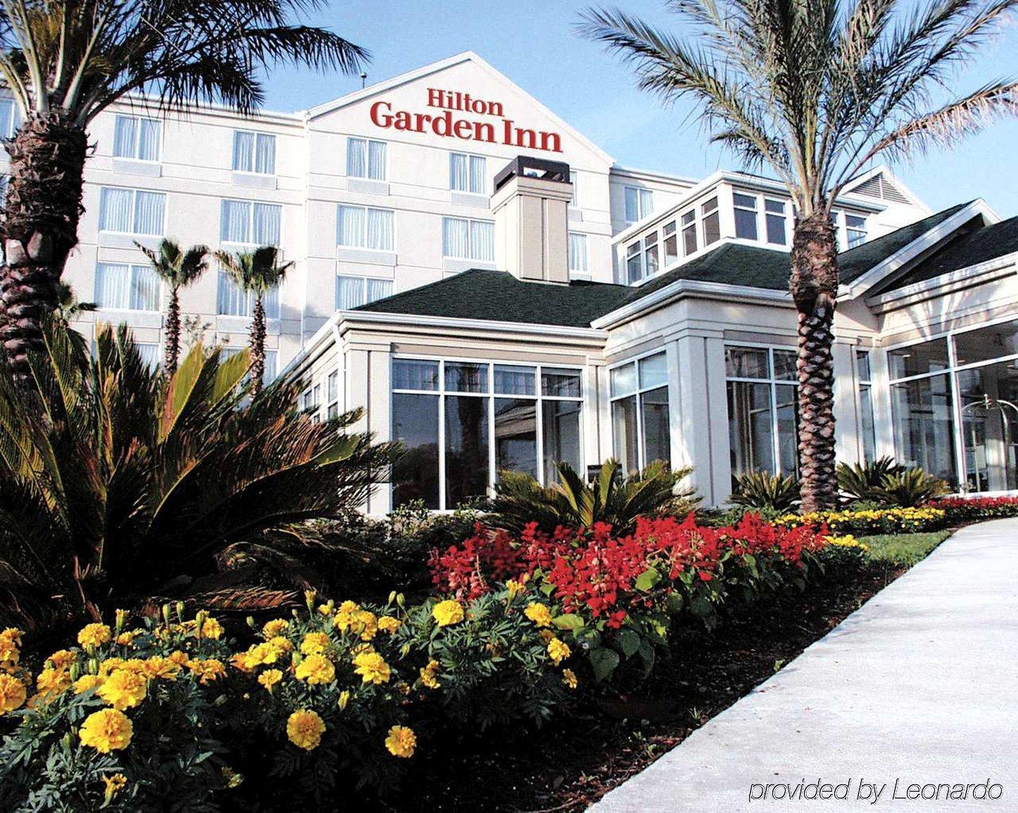 Hilton Garden Inn New Braunfels Bagian luar foto